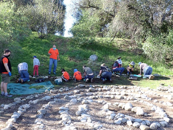 community park clean up trees 