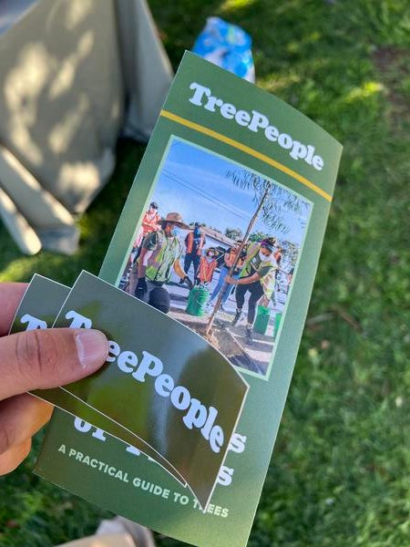 Tree People logo and brochure