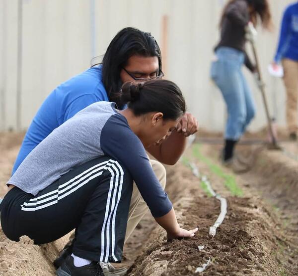 community garden planting 